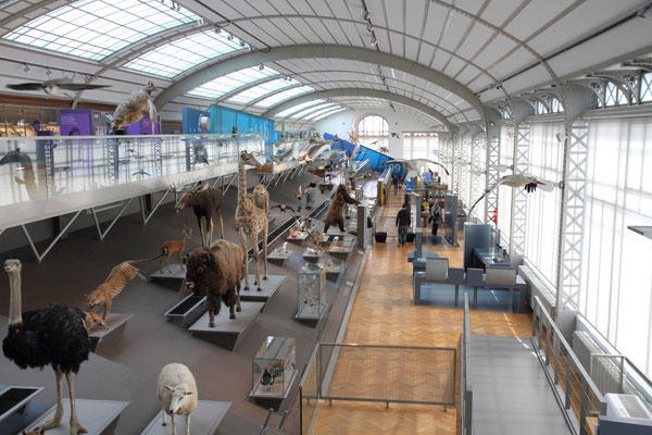 La galerie de l'évolution