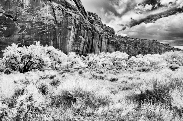 Capitol Reef NP, Utah. Photographed using an infrared converted camera.