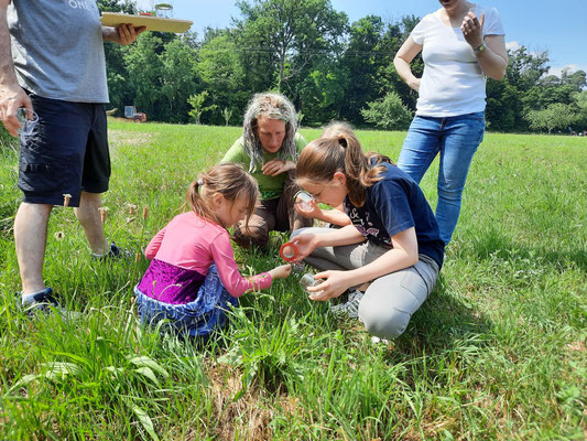 Insekten beobachten, Foto: NABU Hambrücken