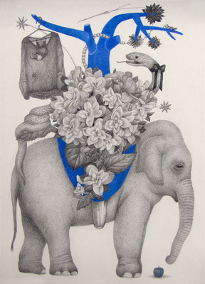 ささやかな支配（elephant）　　　　　333×242㎜　色鉛筆・紙