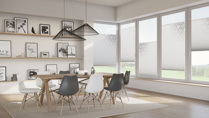 Plissee von oben und unten frei verschiebbar. Sie lassen also immer genauso viel Licht & Einblicke zu, wie du es wünschst.