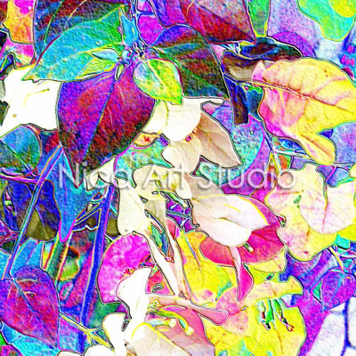 Bougainvillea farbig, 2013, 40 x 40 cm, Print auf Papier, mit Passepartout, Glas & Holzrahmen