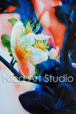 Apfelblüte, 2016, 20 x 30 cm, Fotografie mit Ölfarbe, in der Galerie KuRa Hamburg