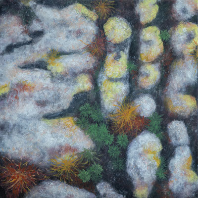 Schwimmende Steine, 2026, 50x 50 cm, LW mit Acrylfarbe