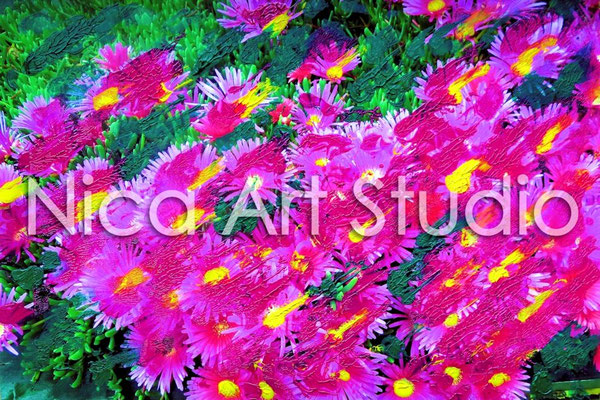 Aster, 2015, 30 x 20 cm, Fotografie mit Ölfarbe