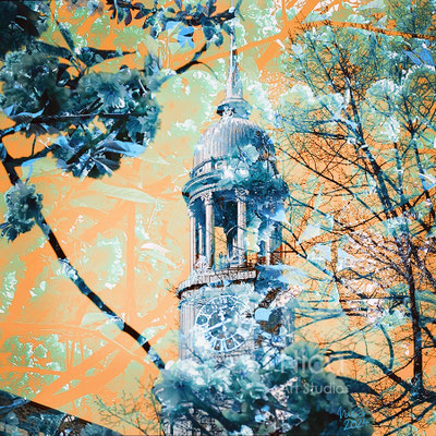 Michel mit Kirschblüten, 2024, 30 x 30 cm, Fotokunst auf Leinwand