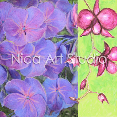 Orchidee & Hortensie, 2013, 50 x 50 cm, Print hinter Acryl-Glas (von Fotografie + Aquarell)