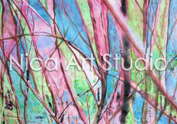 Viele Rote Zweige, 2015, 30 x 21 cm, Papierdruck mit Aquarell und Moorlauge