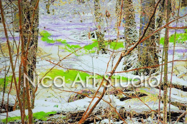 Im Wald, 2016, 30 x 20 cm, Fotografie mit Ölfarbe