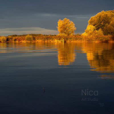 Bäume am See, 2024, 30 x 30 cm, Fotografie auf Leinwand