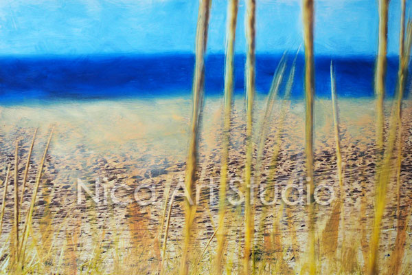 Gras at the beach, 2017, 30 x 20 cm, photography with oil color