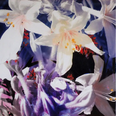 Lilien, 2016, 20 x 20 cm, Fotografie mit Ölfarbe, in der Galerie KuRa Hamburg
