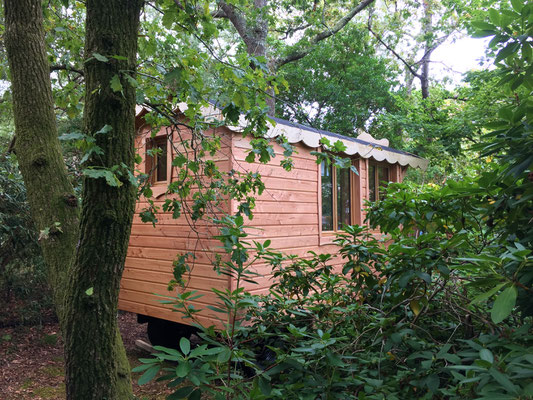 bureau de jardin container