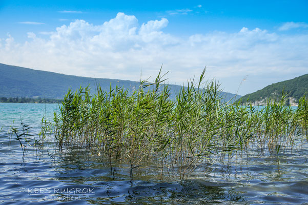 Lac d'Annecy