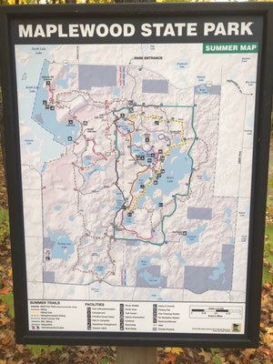 エクスカーション（学生のみ）Maplewood state park