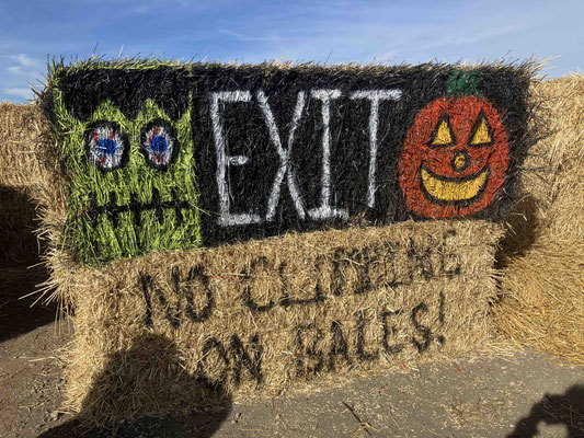 Corn Maze 10/20