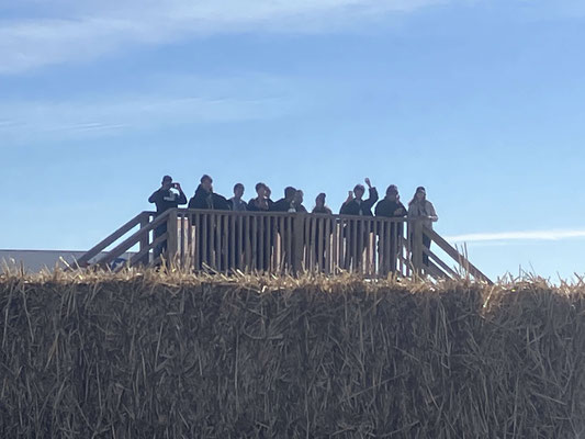 Corn Maze 10/20