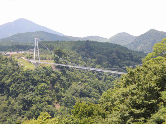 九重“夢”大吊橋