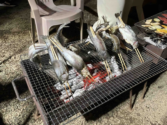 1日目BBQと花火（遊・ＹＯＵ・くぎのキャンプ村）