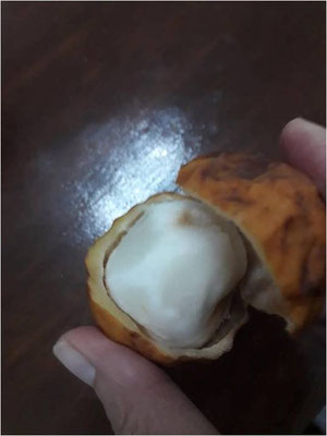 (ｱﾁｬﾁｬｲﾙ)果物(白色)