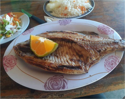 淡水魚(ﾊﾟｸﾞ)