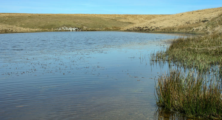 Easter hols in north Devon: Dartmoor near Hare Tor