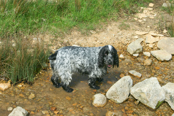 Cotswold, Pondlip walk