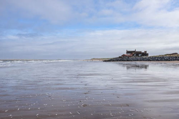 February, Skeyton stay, Norfolk