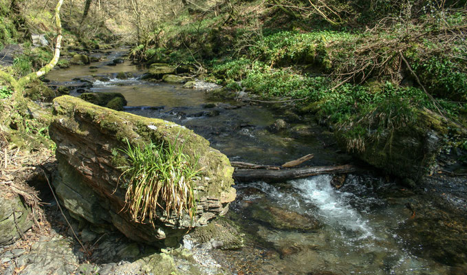 Easter hols in north Devon: Ledford Gorge