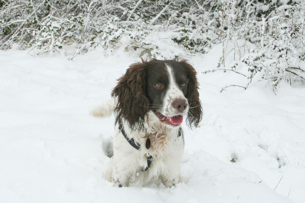 Heavy snow in Throckmorton