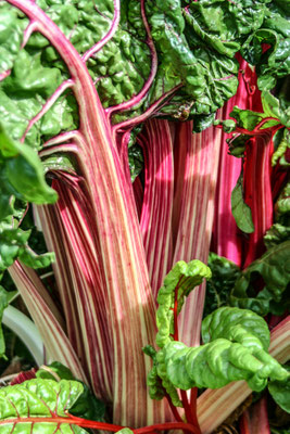 National Trust: Coughton Court
