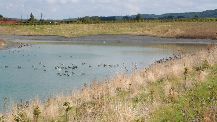 Around the ponds behind the airfield and foot & mouth burial site