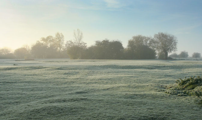 Frosty Lower House Farm Barns livery paddocks