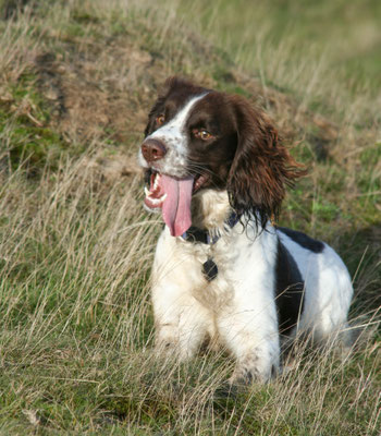 Walking on the Malvern Hills