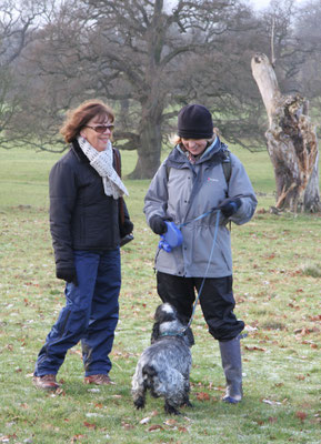 Stanton / Stanway New Years Day walk