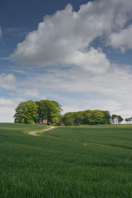Walk on Bredon Hill from Overbury side