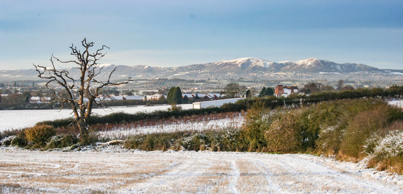 Worcester Tump in the snow