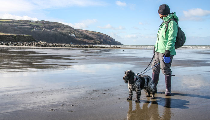 Easter in Cardigan Bay