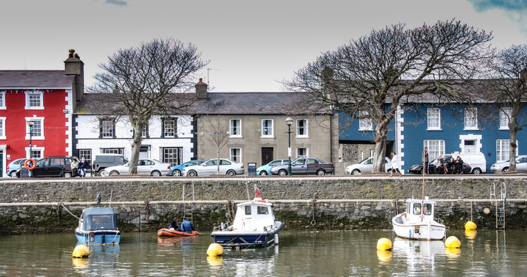 Easter in Cardigan Bay