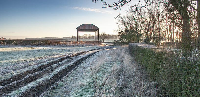 Frosty days in Throckmorton