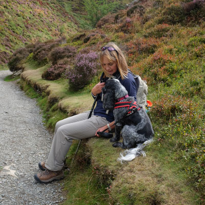 Shropshire Hills walk