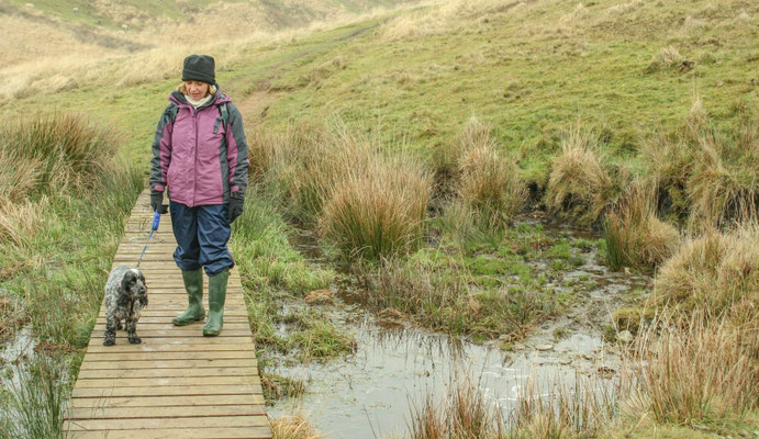Christmas at Ensis Farm Cottages, North Devon