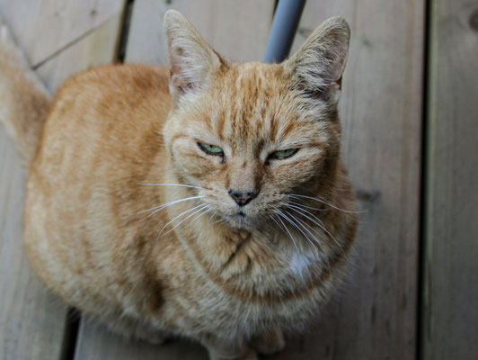 June in Peckham, staying with John & Jenny
