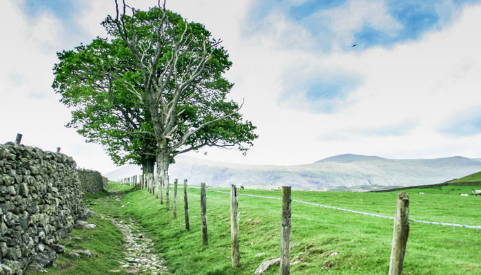 June, Lakes Holiday based near Appleby