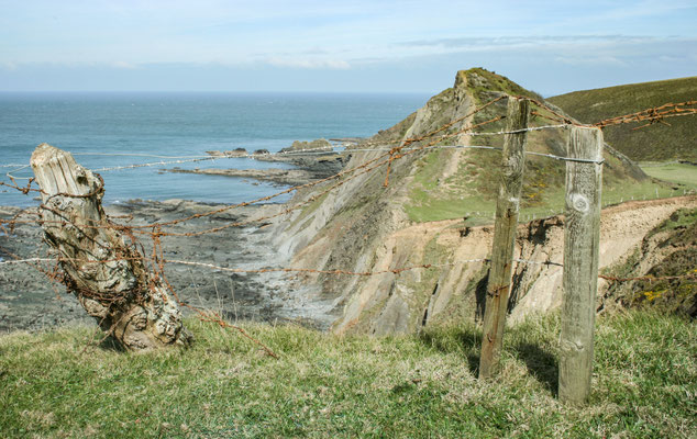 Easter hols in north Devon: Hartland Walk