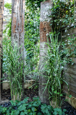 June in Peckham, staying with John & Jenny