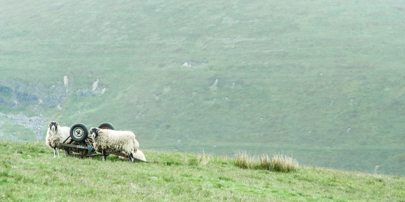June, Lakes Holiday based near Appleby
