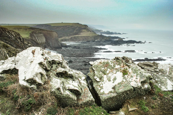 Christmas at Ensis Farm Cottages, North Devon