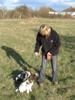 Zebbie & Rosie do a bit of training