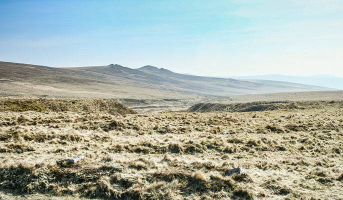 Easter hols in north Devon: Dartmoor near Hare Tor